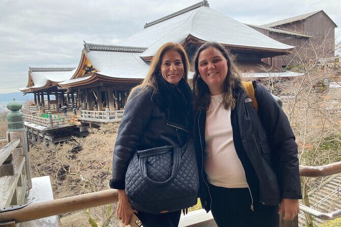 Kyoto 8hr Tour from Osaka: English speaking Driver, No Guide - Who Should Consider This Tour?