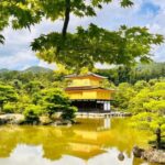 Kyoto and Nara Customised Full Day Private Tour with Pickup - What Travelers Can Expect from the Experience