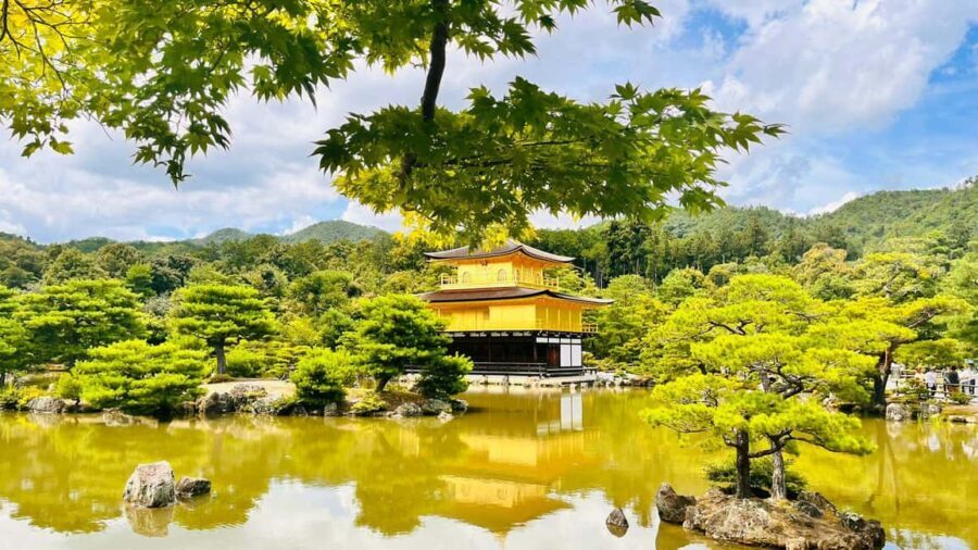 Kyoto and Nara Customised Full Day Private Tour with Pickup - What Travelers Can Expect from the Experience