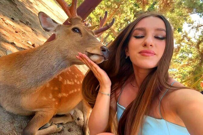 Kyoto and Nara Day Tour From Osaka with Deer Sightings - What Travelers Say: Authentic Experiences and Practicality