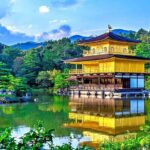 Kyoto and Nara Day Tour With English Guide - In-Depth Review