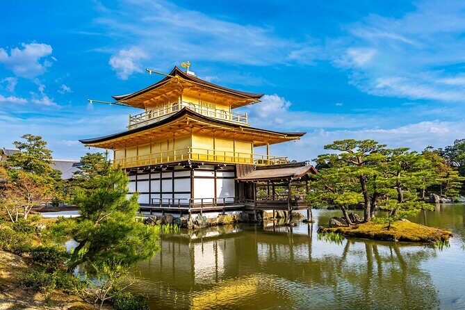Kyoto and Nara Small Group Tour from Osaka - Practical Details and What You Should Know