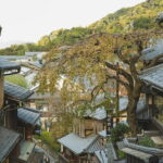 Kyoto and Uji for Classic Shrine and Matcha Private car Day Tour - What Does the Tour Include and Exclude?