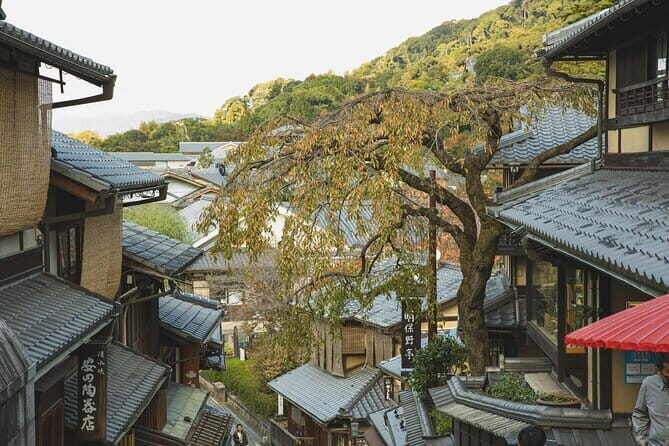 Kyoto and Uji for Classic Shrine and Matcha Private car Day Tour - What Does the Tour Include and Exclude?