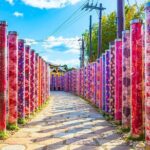 Kyoto Arashiyama and Nara Tour with Sagano Train, Giikawa Honpo - Who Will Love This Tour?