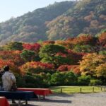 Kyoto: Arashiyama Bamboo, Togetsukyo bridge, Sanso, and more - What to Expect from the Tour Experience