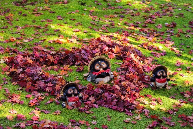 Kyoto Arashiyama Easy Walk Tour - Who Should Consider This Tour?