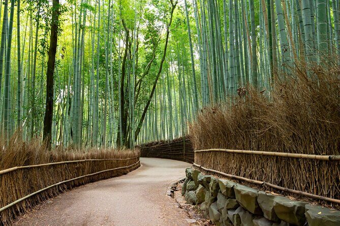 Kyoto Arashiyama, Nara Park, and Fushimi Shrine Tour - Authentic Experiences & Practical Insights