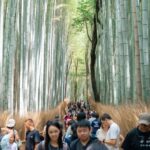 Kyoto Arashiyama tour: Iconic Sights and Hidden Treasures - Detailed Review of the Kyoto Arashiyama Tour