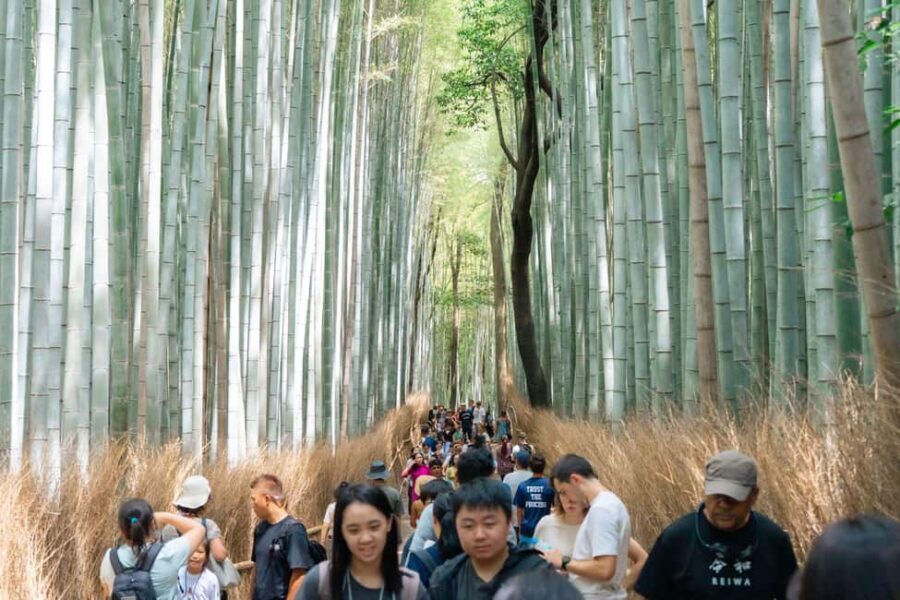 Kyoto Arashiyama tour: Iconic Sights and Hidden Treasures - Detailed Review of the Kyoto Arashiyama Tour