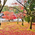 Kyoto Autumn Foliage Private Car Tour Temples and Gardens - The Itinerary and How It Changes with the Season