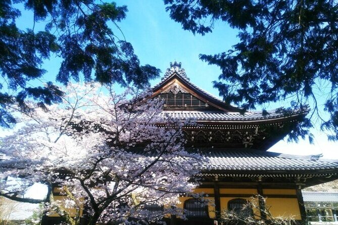Kyoto Cherry Blossom 1 Day Walking Tour - Final Thoughts