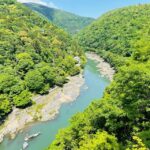 Kyoto Customized Guided, Private Tour - The Practicalities: What This Tour Means for You