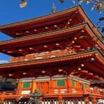 Kyoto Customized Private Tour - What Travelers Are Saying