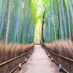 Kyoto Customized Private Tour with English Driver & Hotel Pickup - Frequently Asked Questions