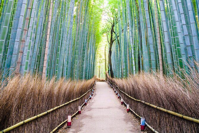 Kyoto Customized Private Tour with English Driver & Hotel Pickup - Frequently Asked Questions