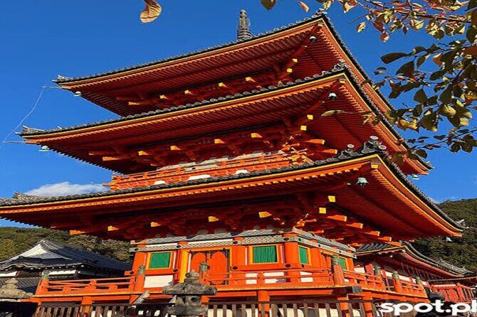 Kyoto Customized Private Tour - What Travelers Are Saying
