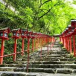 Kyoto Day Tour Kifune Shrine, Sanzen-in, Arashiyama & Yuzen Korin - Practical Details and What to Expect