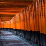 Kyoto: Early Morning Landmarks Tour with Pickup - A Deep Dive into the Kyoto Early Morning Landmarks Tour