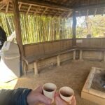 Kyoto Essentials Half Day Walking Tour with Cultural Expert - Analyzing Value and Practicality