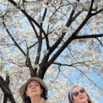 Kyoto Exploration with an Accredited Government Guide - What Travelers Can Expect from the Experience