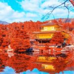 Kyoto Full day Tour Kinkakuji, Kiyomizu-dera and Fushimi Inari - Who Will Enjoy This Tour?