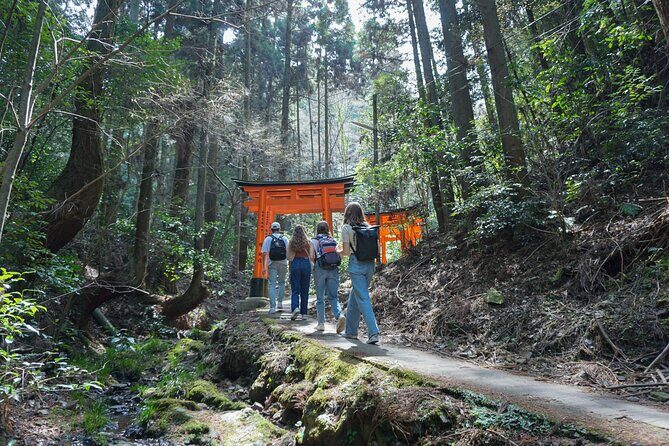 Kyoto: Fushimi Inari Hidden Hike (Private) - Practical Considerations