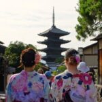 Kyoto: Gion and Geisha District Walking Tour - What to Expect During the Tour