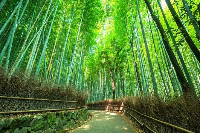Kyoto Guided Tour of Bamboo Forest, Temple and more - The Sum Up: Is This Tour Worth It?