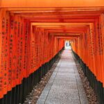 Kyoto Half Day Highlights Tour - Who Would Love This Tour?