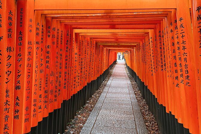Kyoto Half Day Highlights Tour - Who Would Love This Tour?