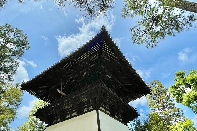 Kyoto Hidden Gems Tour with Shrines and Temples - Practicalities and Value