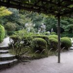 Kyoto: Hidden Temples and Tea Ceremony Tour - Who Is This Tour Best For?