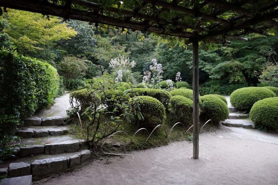 Kyoto: Hidden Temples and Tea Ceremony Tour - Who Is This Tour Best For?