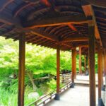 Kyoto Higashi Hongan-ji Temple and Shsei-en Garden Walk Tour - FAQ