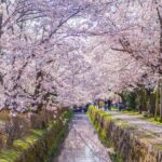 Kyoto Higashiyama E-Bike Tour *Private, Pick up from/to Hotel - The Sum Up