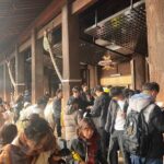 Kyoto Highlights Eastern Western Northern and Southern Routes - Who Will Get the Most Out of This Tour?