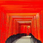 Kyoto Highlights Private Car Day Tour with English Speaking Guide - A Day in Kyoto for the Curious and the Leisurely