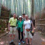 Kyoto Highlights Shore Excursion from Osaka Tempozan Cruise Port - Who Should Consider This Tour?