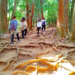 Kyoto: Kurama Temple and Mountain Legends Guided Hike - What the Reviews Say