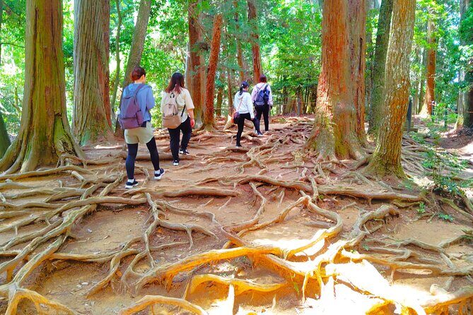 Kyoto: Kurama Temple and Mountain Legends Guided Hike