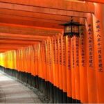 Kyoto & Nara 1 Day Private Charter Car Tour from Osaka or Kyoto - Practical Details and What to Expect