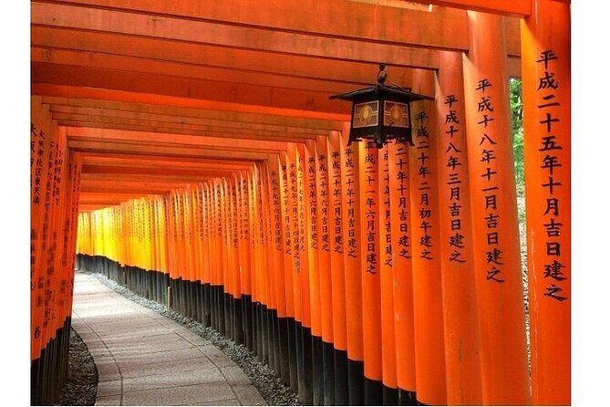 Kyoto & Nara 1 Day Private Charter Car Tour from Osaka or Kyoto - Practical Details and What to Expect