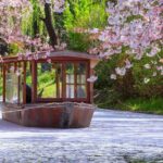 Kyoto & Nara Small Group Day Tour from Kyoto - In-Depth Review of the Kyoto & Nara Small Group Tour