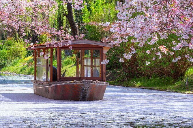 Kyoto & Nara Small Group Day Tour from Kyoto - In-Depth Review of the Kyoto & Nara Small Group Tour