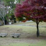 Kyoto, Osaka and Nara Customized Private Car tour - In-Depth Look at the Itinerary