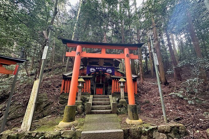 Kyoto Private Customizable Day Trip With English chauffeur - Final Thoughts