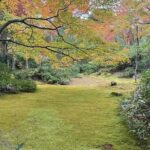 Kyoto Private & Customizable Tour with English-Speaking Driver - Who Should Book This Tour?