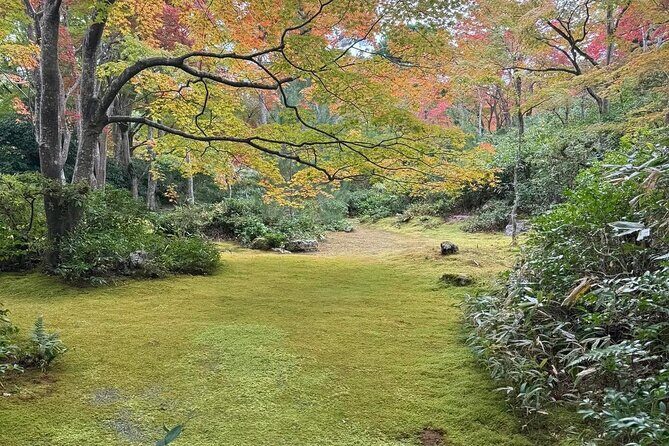 Kyoto Private & Customizable Tour with English-Speaking Driver - Who Should Book This Tour?