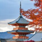 Kyoto Private Customized Day Tour with Guide - The Sum Up: Who Will Love This Tour?